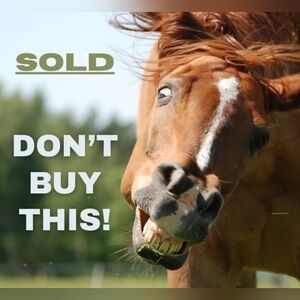 Scooby-Doo Blue Crew Socks Warner Brothers Uni-sex